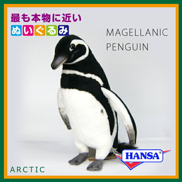 HANSA ハンサ ぬいぐるみ7083 マゼランペンギン ぺんぎん リアル 鳥の商品画像 2