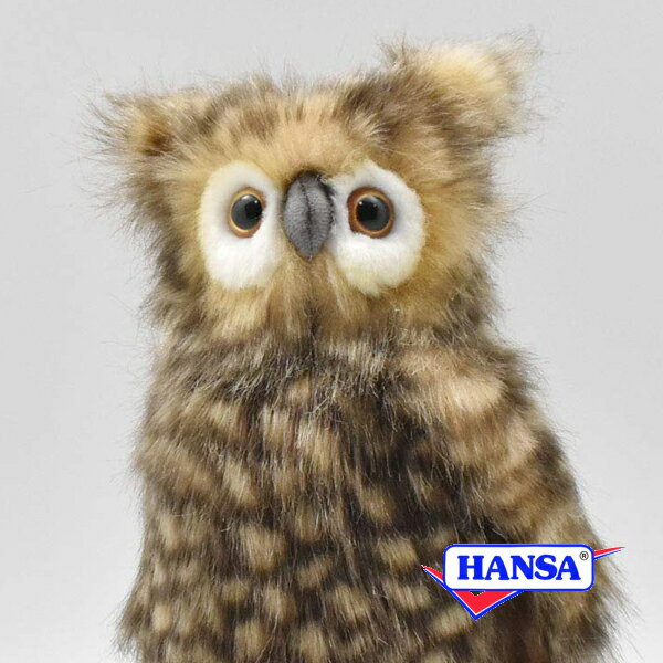 HANSA ϥ ̤4465 ե դ  ꥢ Ļ