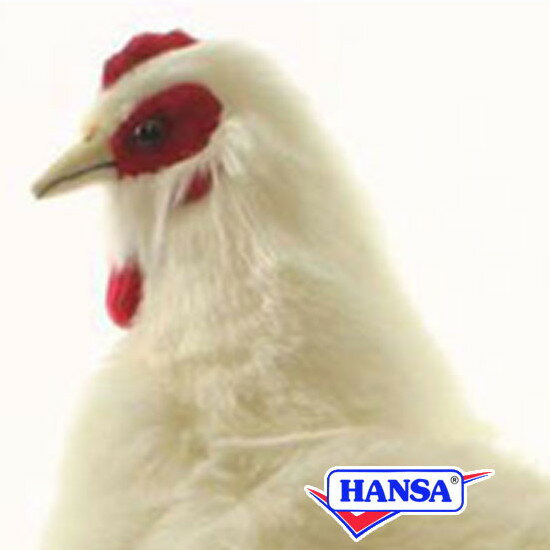 HANSA ハンサ ぬいぐるみ4172 シロメンドリ 雌鳥 白 めんどり リアル 鳥