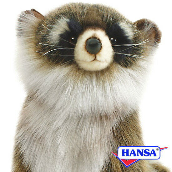 樂天商城 - HANSA ハンサ ぬいぐるみ4248 アライグマ あらいぐま リアル 動物