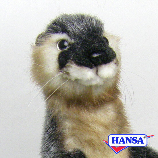 HANSA ハンサ ぬいぐるみ5087 カワウソ かわうそ リアル 動物