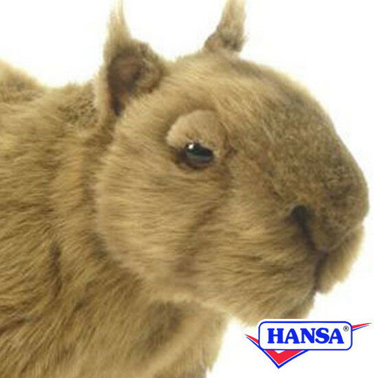 HANSA ハンサ ぬいぐるみ5125 カピバラ かぴばら リアル 動物