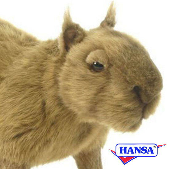 HANSA ハンサ ぬいぐるみ5128 カピバラ かぴばら リアル 動物