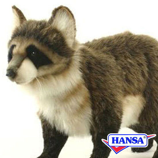 樂天商城 - HANSA ハンサ ぬいぐるみ5181 アライグマ あらいぐま リアル 動物