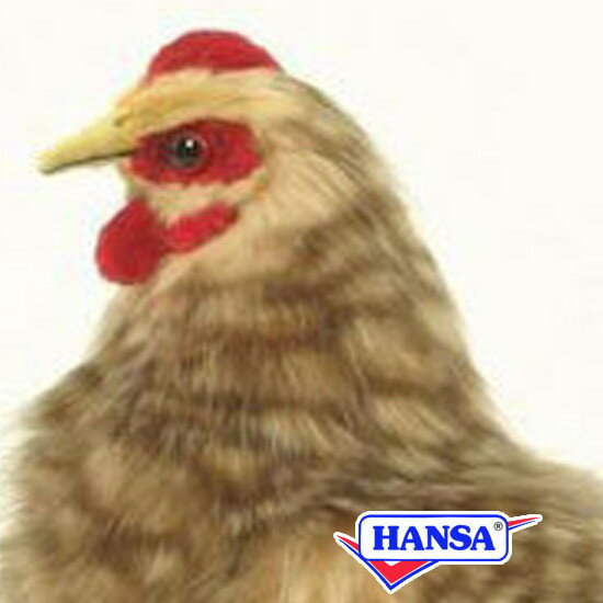 HANSA（ぬいぐるみ） BH4588 ベージュメンドリ HANSA めんどり