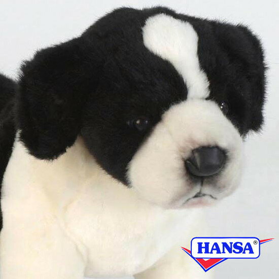 樂天商城 - HANSA ハンサ ぬいぐるみ5663 ボーダーコリーの仔 犬 コイヌ 仔犬 子犬 リアル 動物