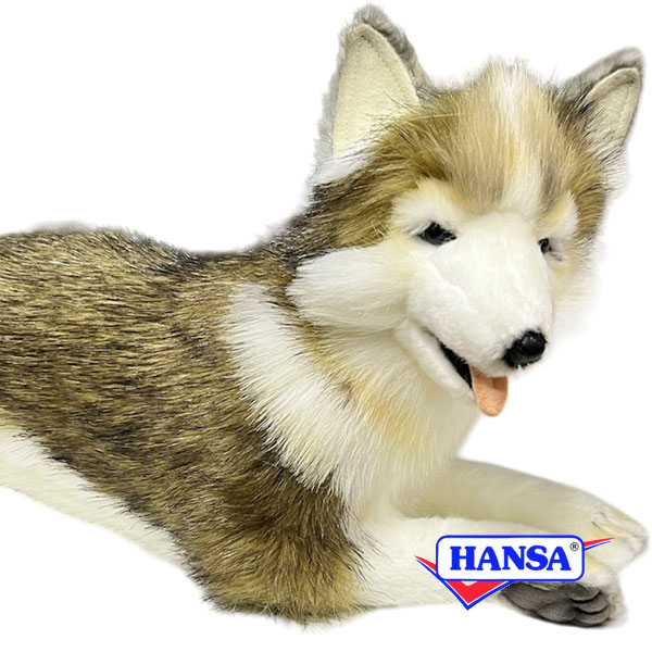 HANSA ハンサ ぬいぐるみ5832 シベリアンハスキー 犬 イヌ リアル 動物のサムネイル