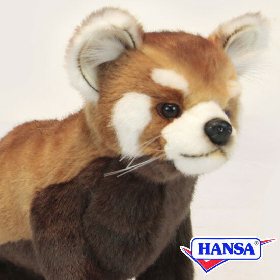 HANSA ハンサ ぬいぐるみ6301 レッサーパンダ レッドパンダ リアル 動物 1