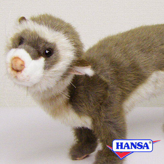 樂天商城 - HANSA ハンサ ぬいぐるみ6310 フェレット イタチ リアル 動物