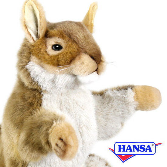 HANSA nT ʂ7162 nhpybg AJX RED SQUIRREL