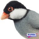 HANSA ハンサ ぬいぐるみ7248 ブンチョウ 文鳥 リアル 鳥