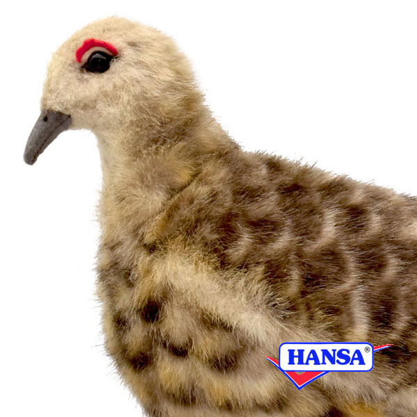 樂天商城 - HANSA ハンサ ぬいぐるみ7647 ライチョウ夏毛 雷鳥 らいちょう リアル 鳥