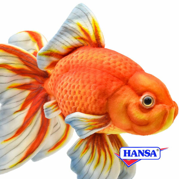 Rakuten - HANSA ハンサ ぬいぐるみ8539 リュウキン 琉金 金魚 リアル 魚 サカナ