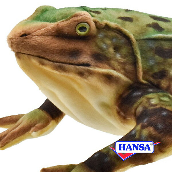 樂天商城 - HANSA ハンサ ぬいぐるみ8575 ゴライアスガエル カエル かえる リアル 両生類