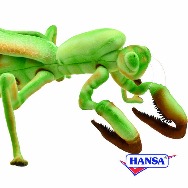 樂天商城 - HANSA ハンサ ぬいぐるみ8588 カマキリ かまきり リアル 昆虫