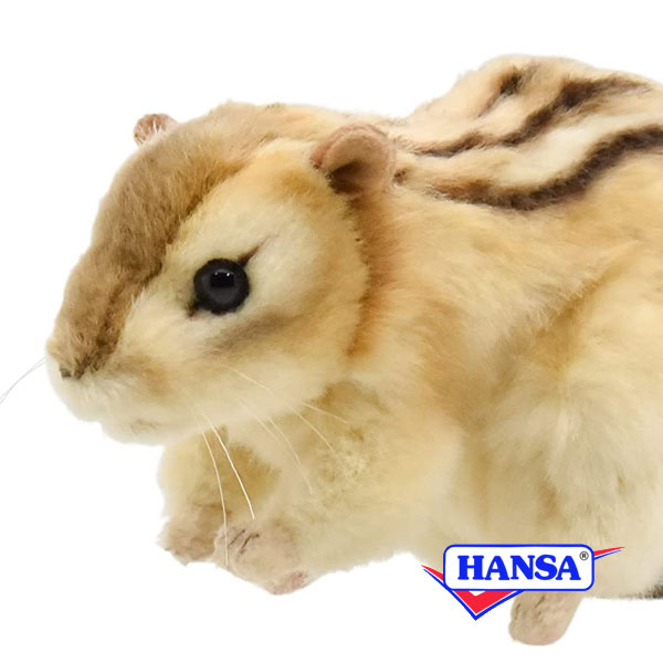 HANSA ハンサ ぬいぐるみ7843 シマリス りす リアル 動物