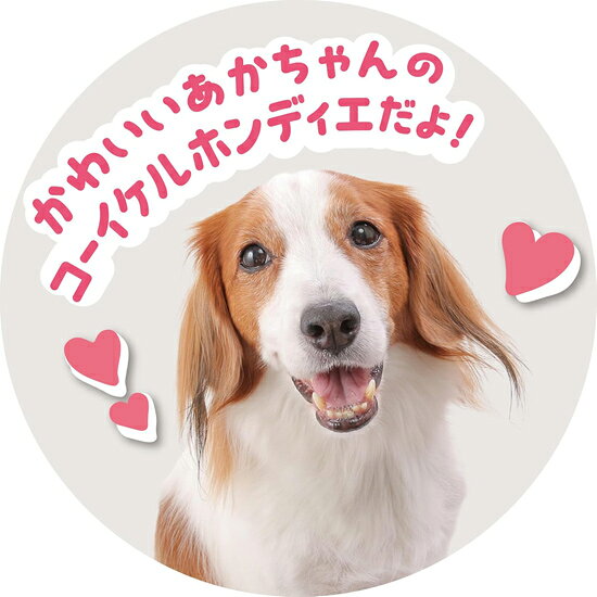 ソプラノの＜イワヤ＞ ピッコリーネ コイケル 電動動物 動くぬいぐるみ｜アングル3