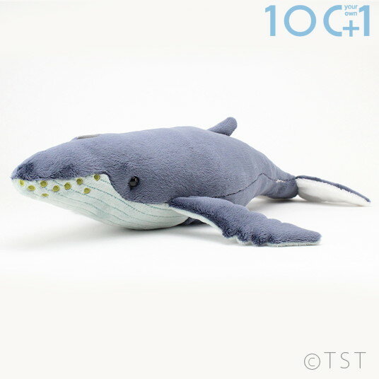 ぬいぐるみ100+1 101 ザトウクジラ L SM203