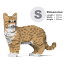 【無料ラッピングサービス有り】JEKCA ジェッカブロック オーストラリアンミスト 茶 01S-M01 Sculptor 立体パズル 組立パズル 8,250円