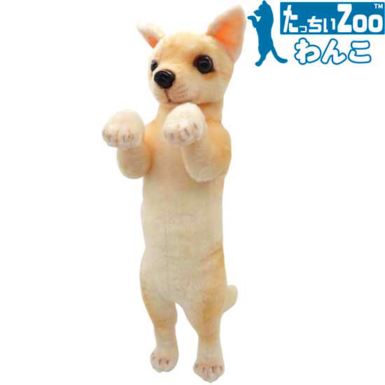樂天商城 - たっちぃZoo わんこ チワワ 犬のぬいぐるみ