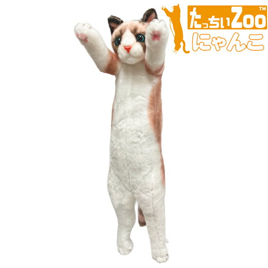 樂天商城 - たっちぃZoo にゃんこ ラグドール 猫のぬいぐるみ