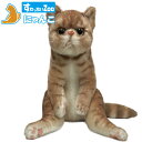 すわっちぃZoo にゃんこ エキゾチック 猫のぬいぐるみ スコ座り