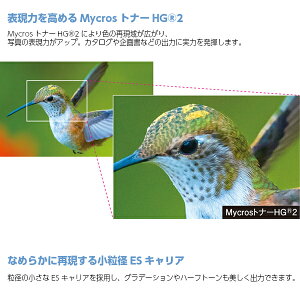 【台数限定特価】【ポイント10倍】【コピー機】カラー複合機コピー機スキャン4段カセット手差しLANUSBSHARPシャープMX-2514FNオフィス事務所印刷B3B4A4A3カラーコピー機SOHO業務用複合機【】