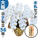 胡蝶蘭 大輪 白 7本立ち 56輪〜(蕾込み) 木札セット 高級胡蝶蘭 農園直送 金賞受賞 ギフト お祝い 花 誕生日 結婚記念日 金婚式 移転祝い 事務所移転...