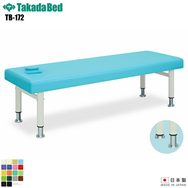 【日本製】【送料無料】 クリオ [TB-172][高田ベッド製作所] 介護ベッド 診察台 ベッド マッサージ台 マッサージベッド 病院 クリニック 医療 介護 診察 診察室 施術 施術ベッド 軒先渡し