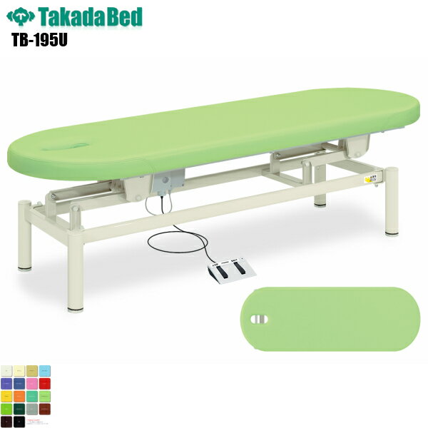 【日本製】【送料無料】 有孔電動フィールド [TB-195U][高田ベッド製作所] 診察ベッド 昇降 診察台 ベッド マッサージ台 マッサージベッド 病院 クリニック 医療 介護 診察 診察室 施術 施術ベッド 昇降ベッド 電動ベッド 電動昇降 軒先渡し