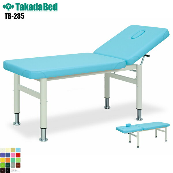 【日本製】【送料無料】 ビューティ [TB-235][高田ベッド製作所] 診察台 マッサージ台 マッサージベッド 病院 クリニック 医療 介護 診察 診察室 施術 フェイシャル 処置室 抗菌 防汚 難燃 軒先渡し