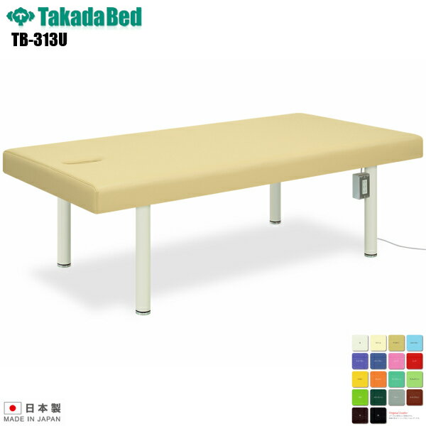 【日本製】【送料無料】 有孔リード [TB-313U][高田ベッド製作所] 介護ベッド 診察台 ベッド マッサージ台 マッサージベッド 病院 クリニック 医療 介護 診察 診察室 施術 施術ベッド 軒先渡し