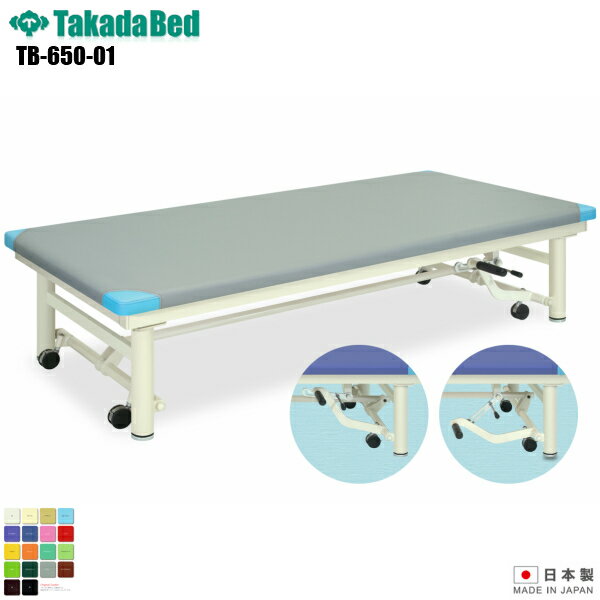【日本製】【送料無料】 キャリーホーム [TB-650-01][高田ベッド製作所] 介護ベッド 診察台 ベッド マッサージ台 マッサージベッド 病院 クリニック 医療 介護 診察 診察室 施術 施術ベッド 軒先渡し