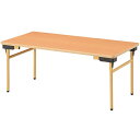 【法人限定】教育施設 テーブル 幅900×奥行600×高さ510mm 折りたたみ EW-0960M ソフトエッジ 保育園 幼稚園 学校 児童施設 省スペース 折りたたみテーブル 折り畳み 施設向け 学校用 机 NISHIKI ニシキ工業