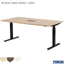 電動昇降テーブル W1800×D900×H650~1250 昇降テーブル オフィスデスク 電動式 昇降机 ミーティングテーブル 会議テーブル 会議用テーブル 電動昇降 電動昇降デスク 事務机 テーブル オフィス家具 おしゃれ テーブル 会社 コワーキング 藤沢工業 TOKIO 【法人様限定】