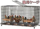 鶏用ケージ チキンケージ大型 鶏かご 屋外鶏用ケージ 鶏小屋飼育ケージ 家庭用 飼育ケージ 家禽用ケージ 鶏舎 鶏かご 鶏用ケージ キャスター付き 自動的に卵を集めることができます トレイとフードトラフ付き 防雨 組み立て簡単 小動物 アウトドア