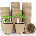 【50個/100個セット】育苗ポット 紙植木鉢 紙パルプ 分解性 園芸用品 種まき 家庭菜園 ガーデニング 育苗 苗づくり 花壇苗 夏野菜 家庭菜園 播種 さし...