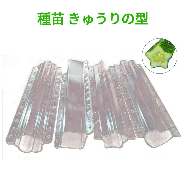 【4本セット】カネコ種苗 きゅうりの型 星型 カネコ種苗 形成容器 プラスチック 開閉しやすい 大きめ ..
