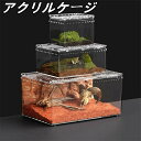 爬虫類ケージ アクリルケージ 爬虫類 飼育ケース 透明 通気ケージ 給餌箱 飼育容器アクリル 飼育ケース 昆虫飼育ケース 爬虫類用飼育ケージ トカゲ/クモ/蛇/...