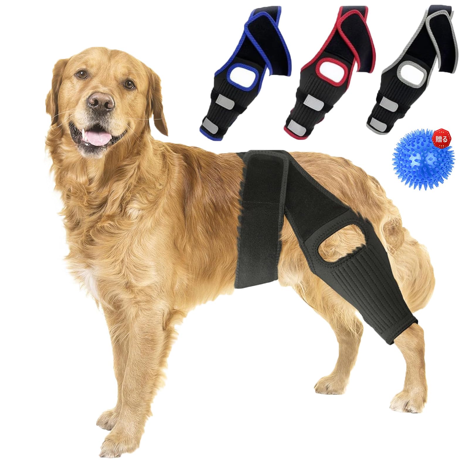 犬用サポーター後ろ足 ペット用サポーター 犬 脚 ブレース 犬用 リハビリ 用品 関節プロテクター 小型犬 中型犬 大型犬 サポーター 老犬介護 介護用品 傷口保護 簡単な脱着 調節可能 舐め防止 手術怪我固定 足の保護 ケア用品 犬足プロテクター