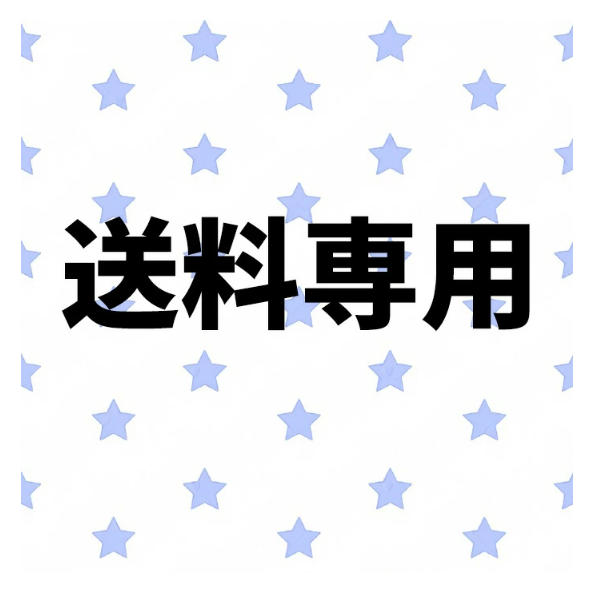 送料専用リンク