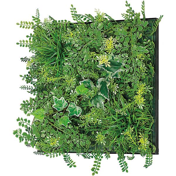 ���ե������꡼�� W300��H300 �ե��������꡼�� ���꡼��ѥͥ� ���ե��� ���꡼�� �͹���ʪ �����ȥ��꡼�� ����ƥꥢ���꡼�� ���տ�ʪ ���꡼�� G...