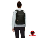 【ポイント10倍 〜7/11 1:59】 マムート ビジネスリュック メンズ レディース MAMMUT Xeron 20 エクセロン 20 253000420 ...