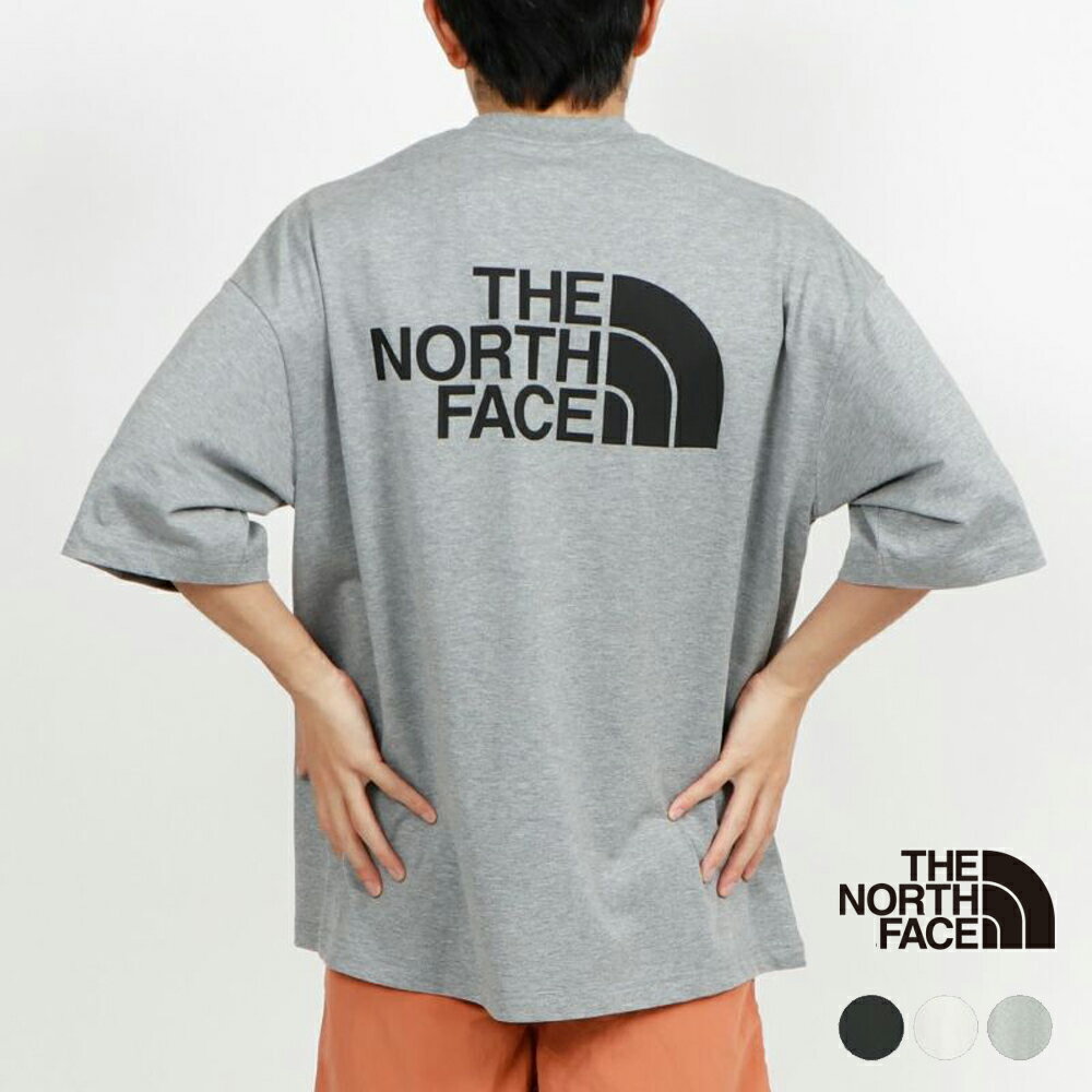 ザ ノースフェイス Tシャツ カットソー 半袖 メンズ レディース THE NORTH FACE S/S Simple Color Scheme Tee ショートスリーブシンプルカラースキームティー NT32434 正規取扱品