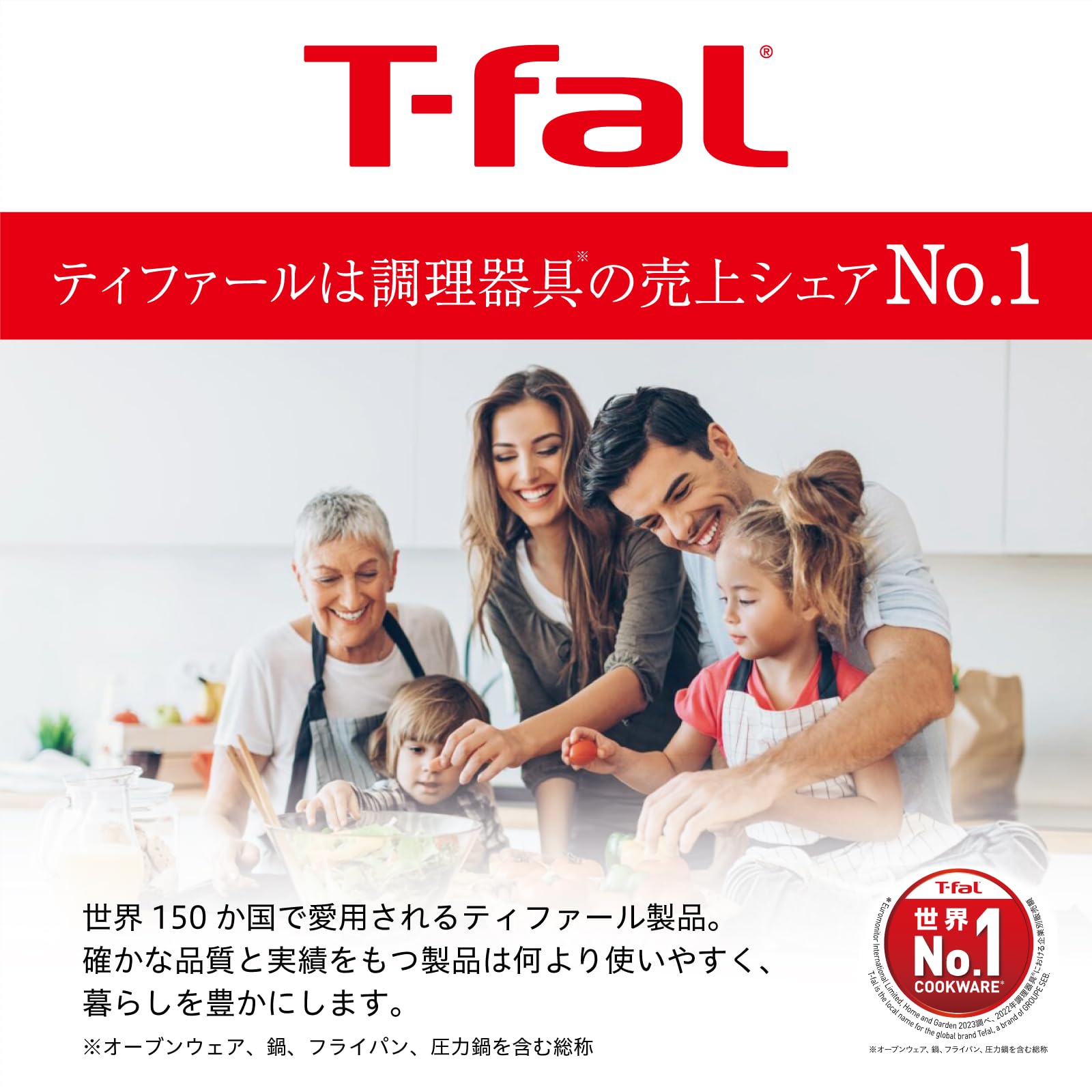 ティファール ココット鍋 24cm 両手鍋 無水調理 鋳物なのに軽くて使いやすい IH ガス火対応 PFOAなどの有害物質不使用 こびりつきにくさ