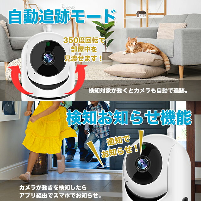 ���ȥ���� �ƻ륫��� ���� �ڥåȥ���� �٥ӡ���˥��� ����ꥫ���