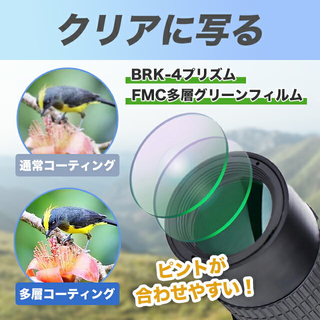 ˾��� ñ��˾��� ñ��� ���ޥ� ����300�� ����Ψ ���󥵡���