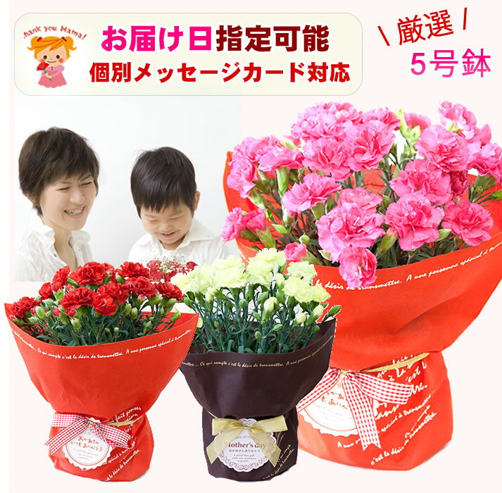 母の日 当日指定可能 カーネーション5号鉢3色から選べます。2023年5月14日 指定可能 お母さん ママ おばあちゃん ありがとう 母の日 プレゼント 鉢植え 5号鉢【送料無料】のサムネイル