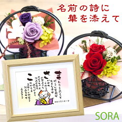 https://thumbnail.image.rakuten.co.jp/@0_mall/sora87/cabinet/00965791/02864136/imgrc0075616382.jpg