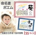 命名書 かわいい 出産祝い お七夜 名前メッセージ ポエム(SSサイズ)クリアフレーム オーダー 漢字 ローマ字 出生日時 命名 ポエム 名入れ プレゼント オ...